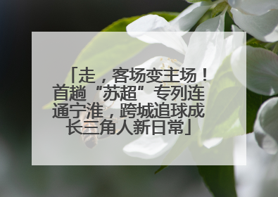 走，客场变主场！首趟“苏超”专列连通宁淮，跨城追球成长三角人新日常