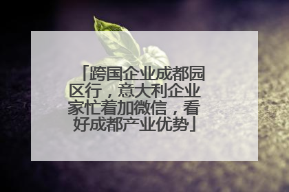 跨国企业成都园区行，意大利企业家忙着加微信，看好成都产业优势