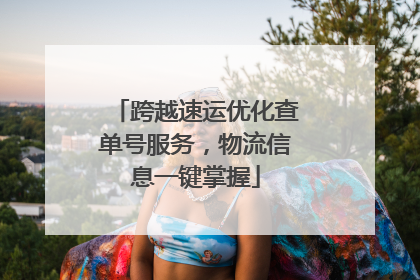 跨越速运优化查单号服务，物流信息一键掌握