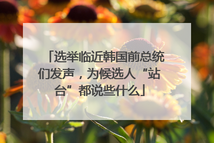 选举临近韩国前总统们发声，为候选人“站台”都说些什么