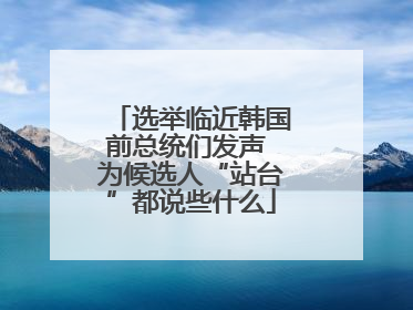 选举临近韩国前总统们发声 为候选人“站台”都说些什么