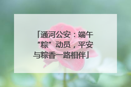 通河公安：端午“粽”动员，平安与粽香一路相伴