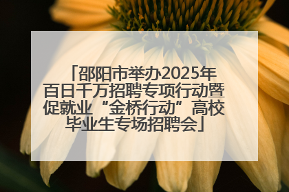 邵阳市举办2025年百日千万招聘专项行动暨促就业“金桥行动”高校毕业生专场招聘会