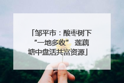 邹平市：酸枣树下“一地多收” 莲藕塘中盘活共富资源