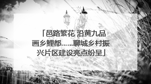 邑路繁花 沿黄九品 画乡鲤都……聊城乡村振兴片区建设亮点纷呈