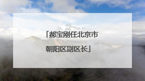 郝宝刚任北京市朝阳区副区长