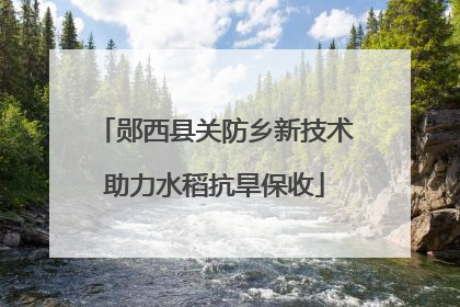 郧西县关防乡新技术助力水稻抗旱保收