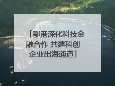 鄂港深化科技金融合作 共建科创企业出海通道