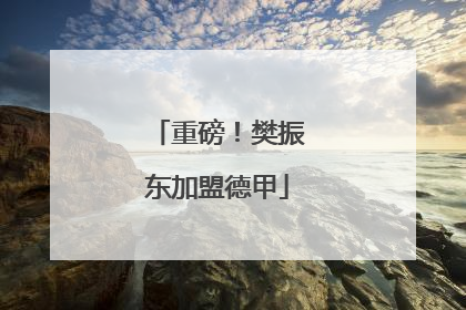 重磅！樊振东加盟德甲