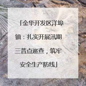 金华开发区洋埠镇：扎实开展汛期三普点巡查，筑牢安全生产防线