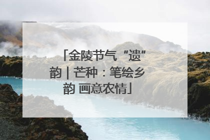 金陵节气“遗”韵｜芒种：笔绘乡韵 画意农情
