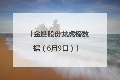 金鹰股份龙虎榜数据（6月9日）