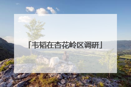 韦韬在杏花岭区调研