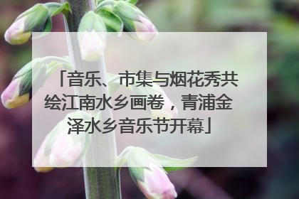 音乐、市集与烟花秀共绘江南水乡画卷，青浦金泽水乡音乐节开幕
