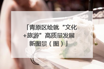 青原区绘就“文化+旅游”高质量发展新图景（图）