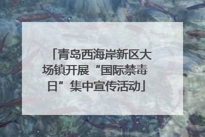 青岛西海岸新区大场镇开展“国际禁毒日”集中宣传活动