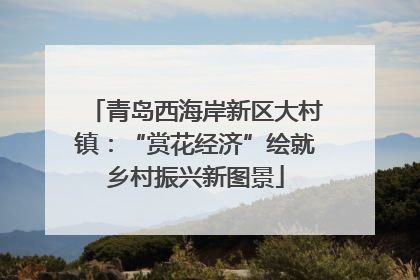 青岛西海岸新区大村镇：“赏花经济”绘就乡村振兴新图景