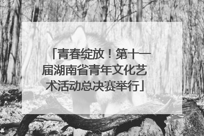 青春绽放！第十一届湖南省青年文化艺术活动总决赛举行