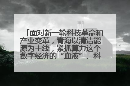 面对新一轮科技革命和产业变革，青海以清洁能源为主线，紧抓算力这个数字经济的“血液”、科技主权的“筹码”、产业升级的“杠杆”、绿色转型的“支点”，勇于撬动国家“双碳”战略、“东数西算”工程重大发展新机遇