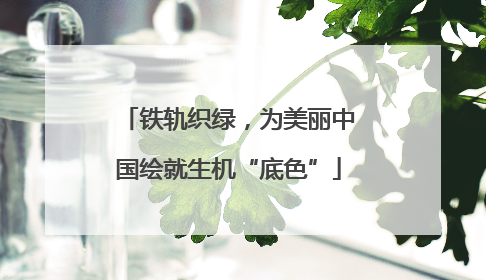 铁轨织绿，为美丽中国绘就生机“底色”
