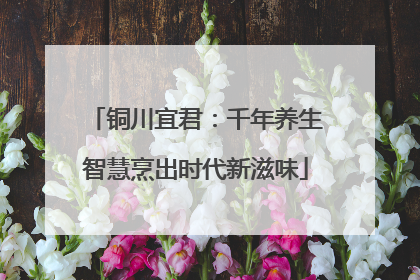 铜川宜君：千年养生智慧烹出时代新滋味