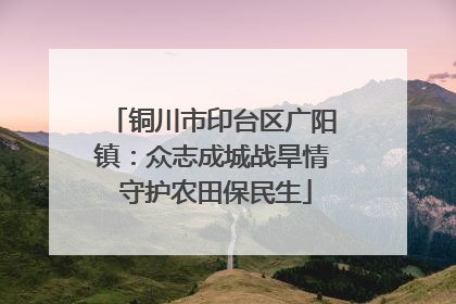 铜川市印台区广阳镇：众志成城战旱情 守护农田保民生