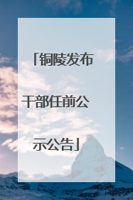 铜陵发布干部任前公示公告