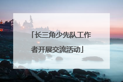 长三角少先队工作者开展交流活动