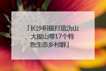 长沙积极打造沩山、大围山等17个特色生态乡村群
