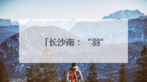 长沙南：“羽”动赛场展风采 汗洒征途竞锋芒
