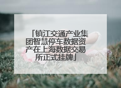 镇江交通产业集团智慧停车数据资产在上海数据交易所正式挂牌