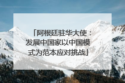阿根廷驻华大使：发展中国家以中国模式为范本应对挑战