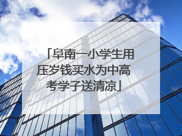 阜南一小学生用压岁钱买水为中高考学子送清凉