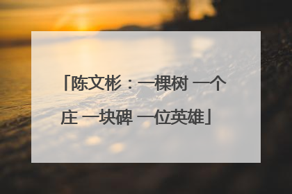 陈文彬：一棵树 一个庄 一块碑 一位英雄