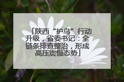 陕西“护鸟”行动升级，省委书记：全链条排查整治，形成高压震慑态势