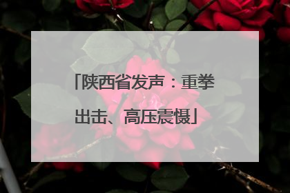 陕西省发声：重拳出击、高压震慑