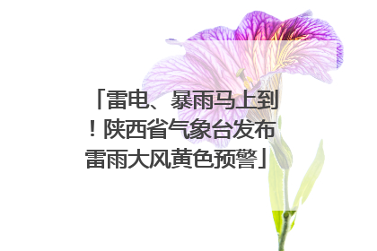雷电、暴雨马上到！陕西省气象台发布雷雨大风黄色预警