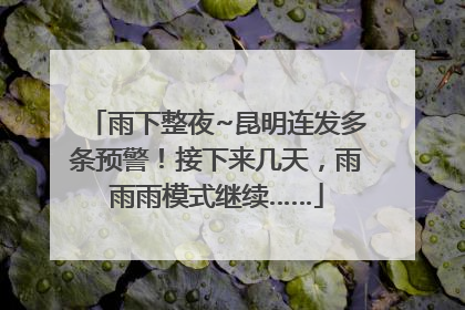 雨下整夜~昆明连发多条预警！接下来几天，雨雨雨模式继续……