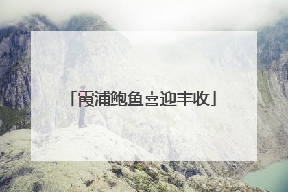 霞浦鲍鱼喜迎丰收