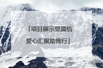 项目展示显温情 爱心汇聚助残行