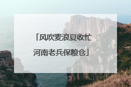 风吹麦浪夏收忙 河南老兵保粮仓