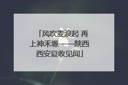 风吹麦浪起 再上神禾塬——陕西西安夏收见闻