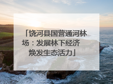 饶河县国营通河林场：发展林下经济 焕发生态活力