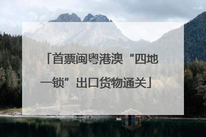 首票闽粤港澳“四地一锁”出口货物通关