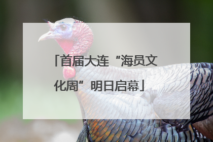 首届大连“海员文化周”明日启幕