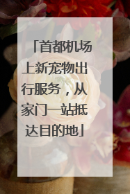 首都机场上新宠物出行服务，从家门一站抵达目的地