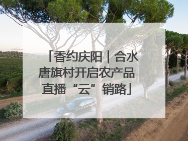 香约庆阳｜合水唐旗村开启农产品直播“云”销路