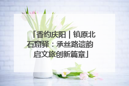 香约庆阳｜镇原北石窟驿：承丝路遗韵 启文旅创新篇章