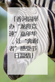 香河园举办“龙舟竞速”嘉年华，让“奔跑者”感受节日温情