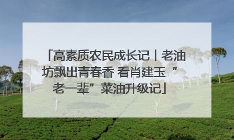 高素质农民成长记丨老油坊飘出青春香 看肖建玉“老一辈”菜油升级记